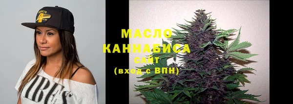 амф Гусиноозёрск
