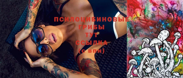 а пвп мука Гусев