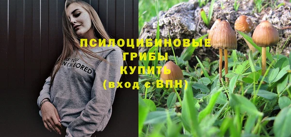 соль ск Навашино