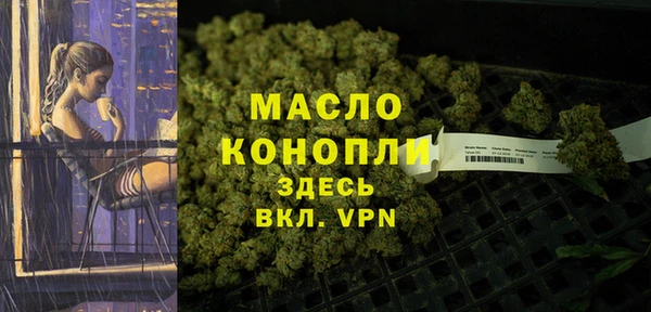 амф Гусиноозёрск