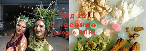 амф Гусиноозёрск